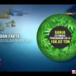 fakta peredaran narkoba