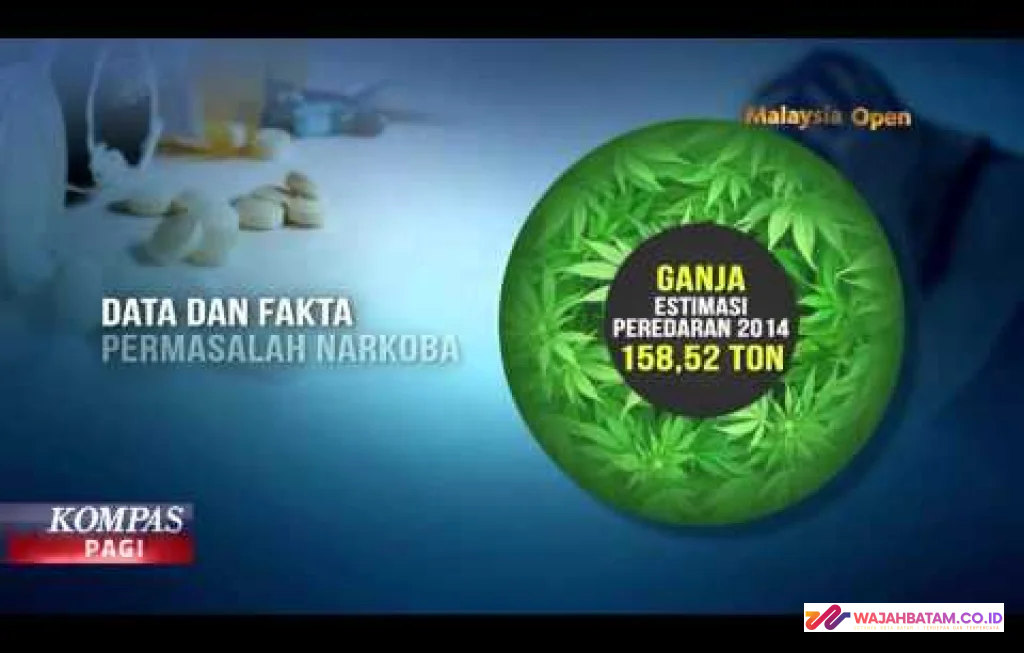 fakta peredaran narkoba