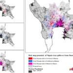 Virus Nipah Thailand