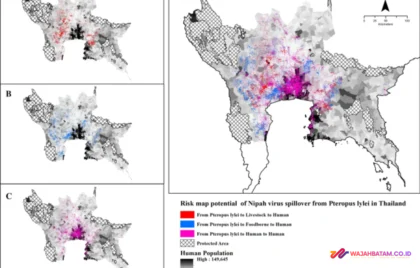 Virus Nipah Thailand