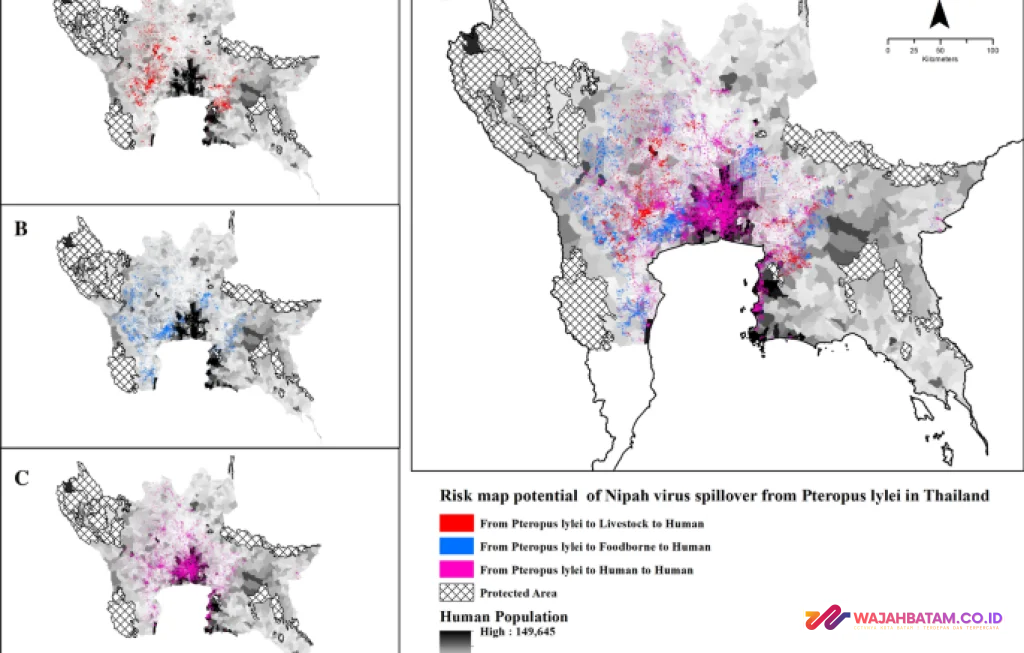 Virus Nipah Thailand